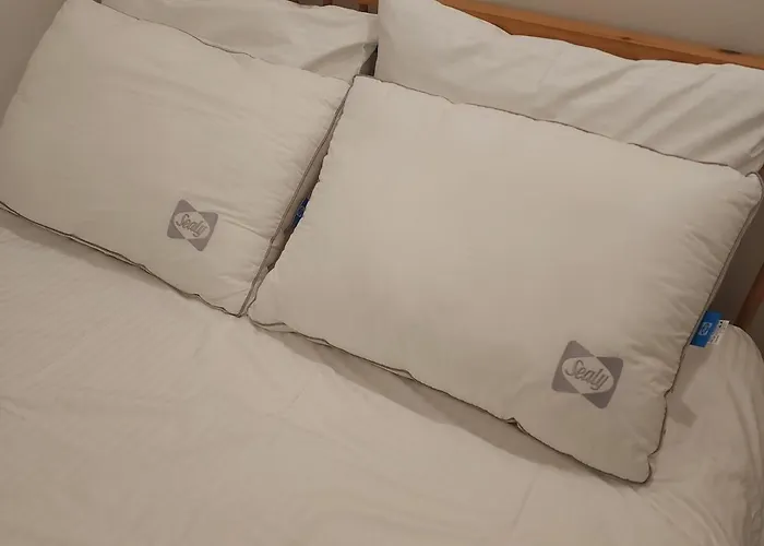 Cozy Apartamento